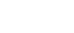 Shopify Platinum Partner badge