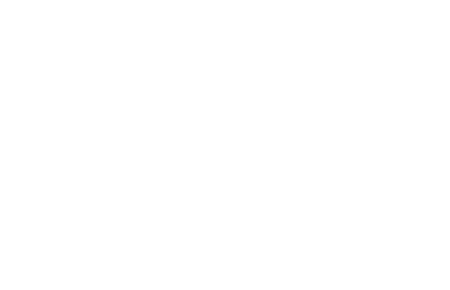 BRUNT logo on a transparent background
