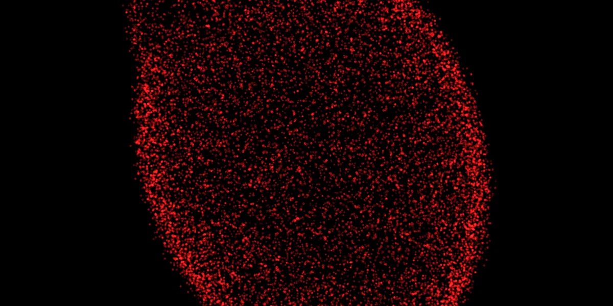 The particle heart from Humann's Our Story science experience